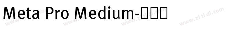 Meta Pro Medium字体转换